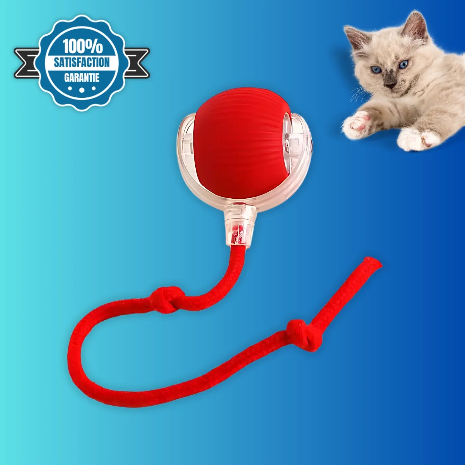 Interactive Ball Toy