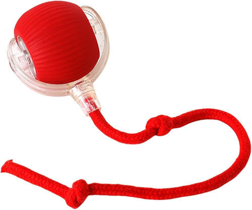 Interactive Ball Toy