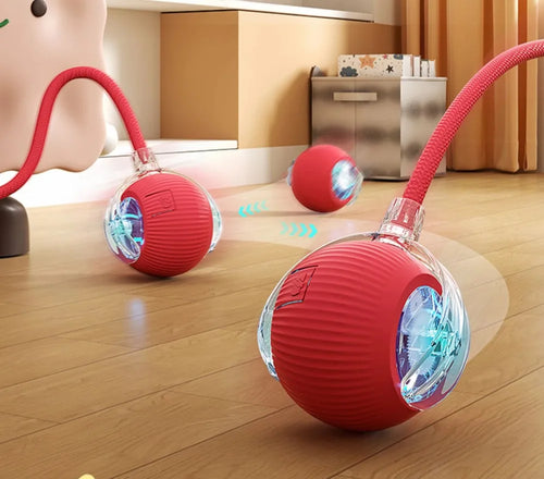 Interactive Ball Toy